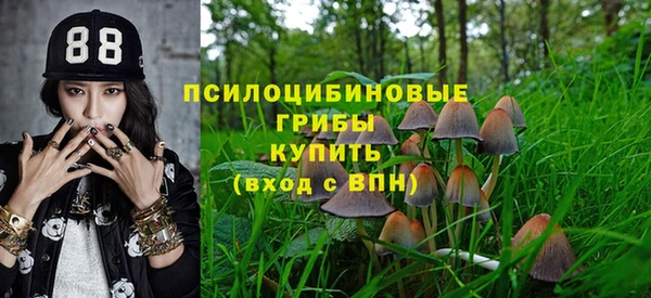 ECSTASY Лиски