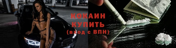 дмт Лихославль