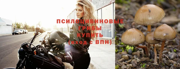 дмт Лихославль